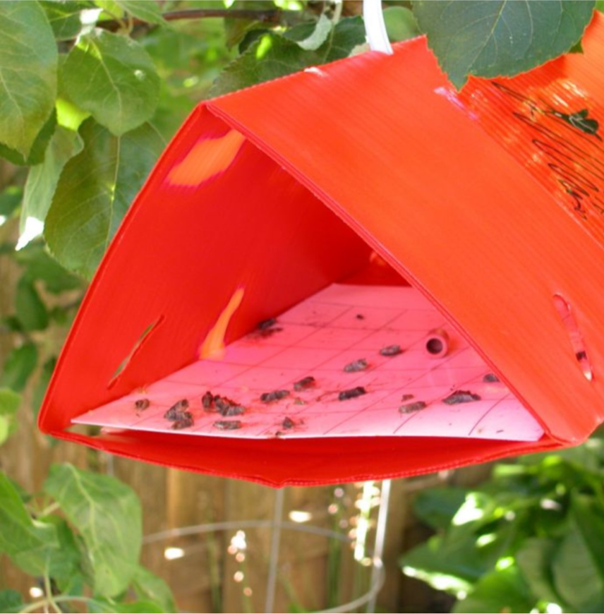 ​Insect Pheromones and Attractants